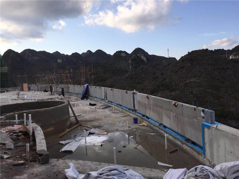 උසස් තත්ත්වයේ පිහිනුම් තටාක මණ්ඩල